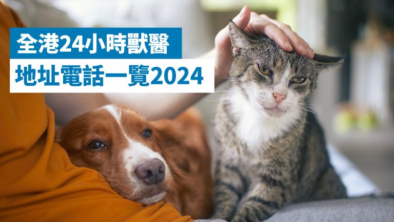 全港24小時獸醫地址電話一覽2024!九龍新界各有7間通宵寵物醫院